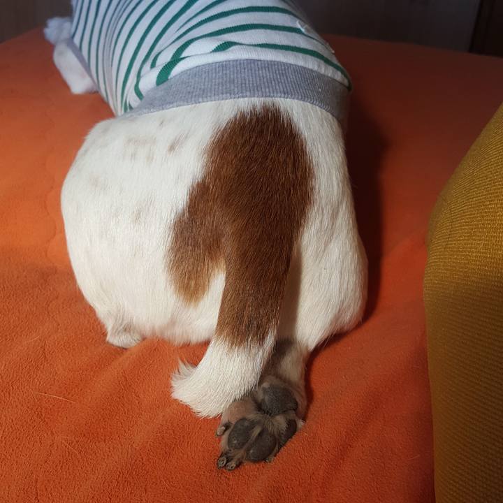 Fd27e774 ad40 48dc b69d 077e46e93013 1548986799283