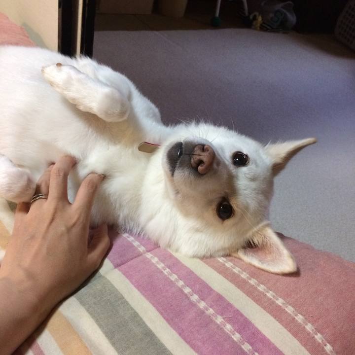 Fd27e8eb 861e 46c9 806b 03f61c5c77d1 1600089024549