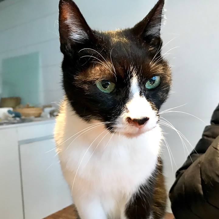 Fd282c47 08ae 4af5 af44 37a0444afb2f 1549761305939