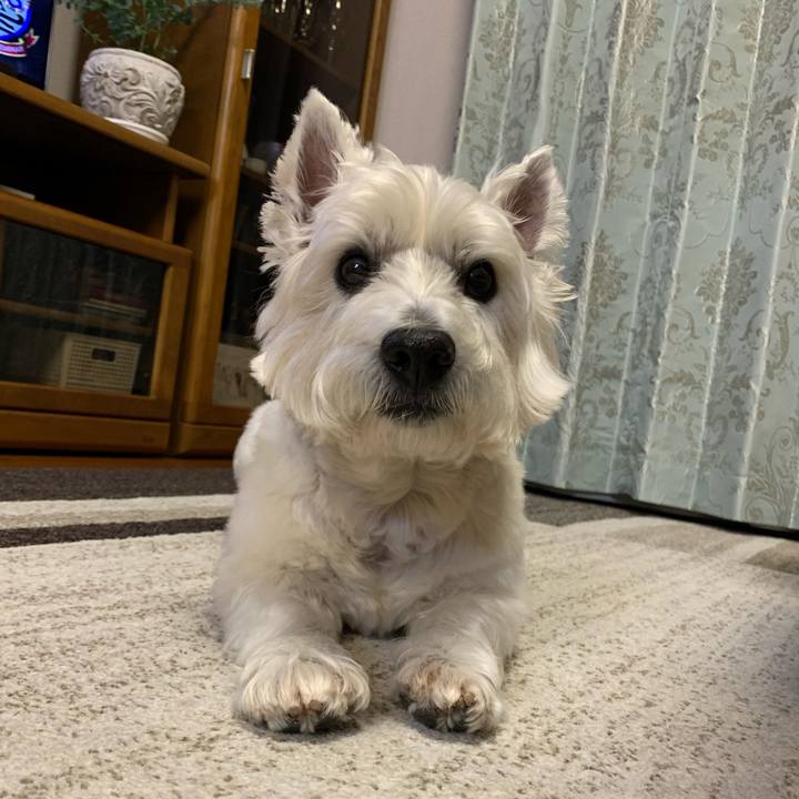 Fd28322c 0eb9 4b3f 8158 89891abc9b7a 1617017613232