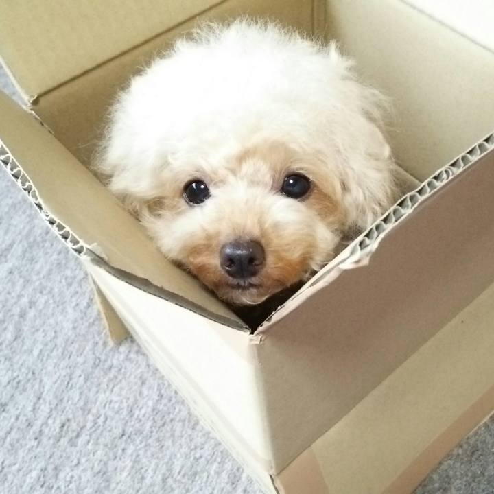 Fd2838ef 8b05 43e9 b549 95636ed11cdf 1537706346950