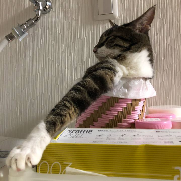 Fd285ec5 956d 49dc a912 9966c79ee9aa 1535058441254