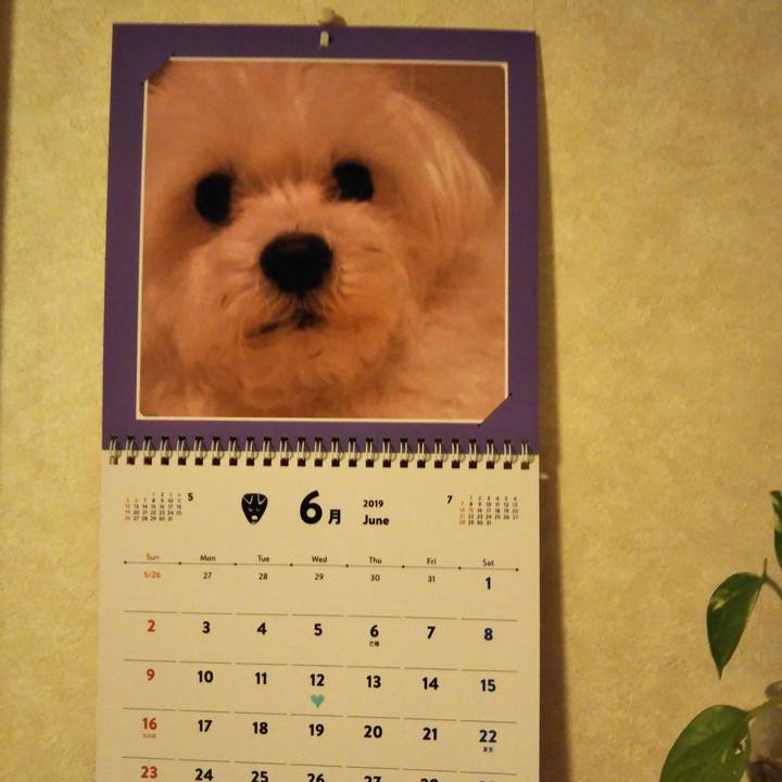 Fd287795 35a7 405f a945 1fa23d648d55 1560429055314