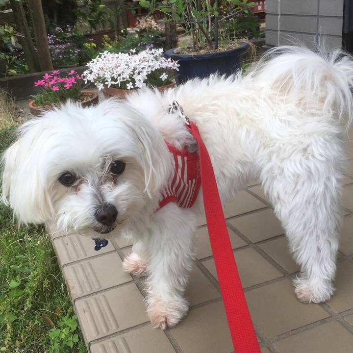 Fd28b56f 037f 4820 8c71 23b01dd4cacf 1525239385524