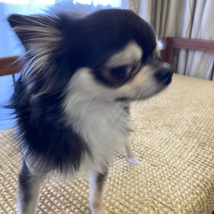 Fd28cef6 529c 43ce bcf2 ab45e235d819 1651930758855