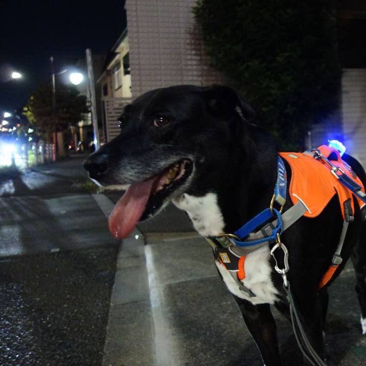 Fd28e82b 5b15 4ab7 a69e 13b1d7f2b0d4 1726051625789