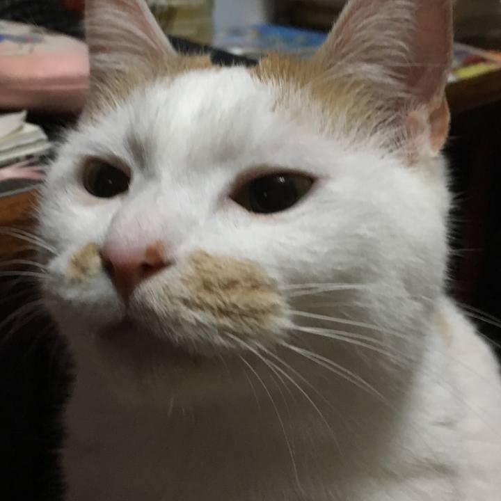 Fd28ed94 1579 4cd2 9c55 fdf9802275d5 1516195961724