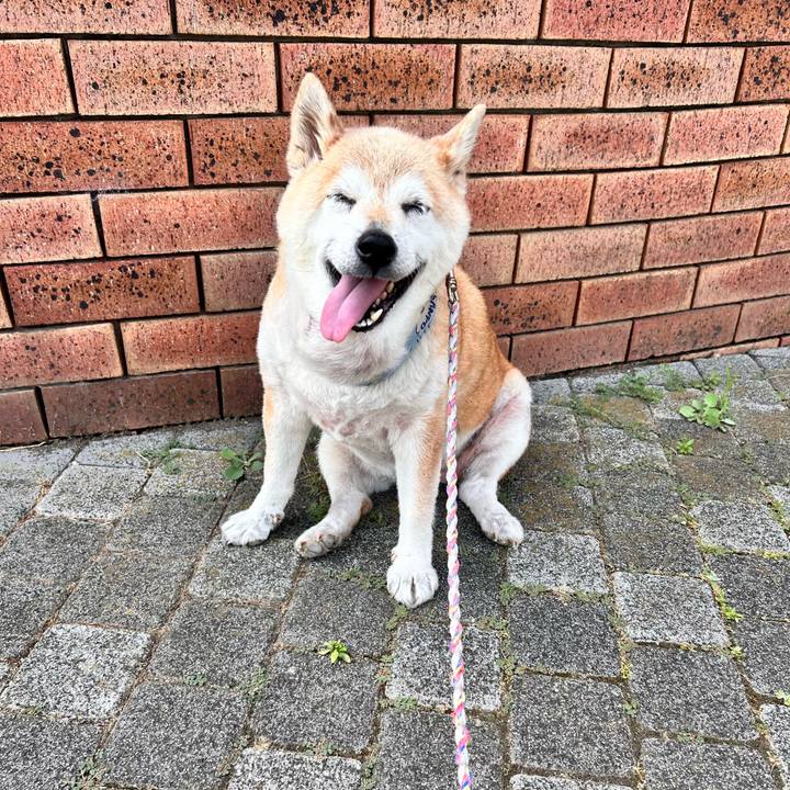 Fd28f094 aef8 4a7a bfc5 f790da4befb3 1751507703581