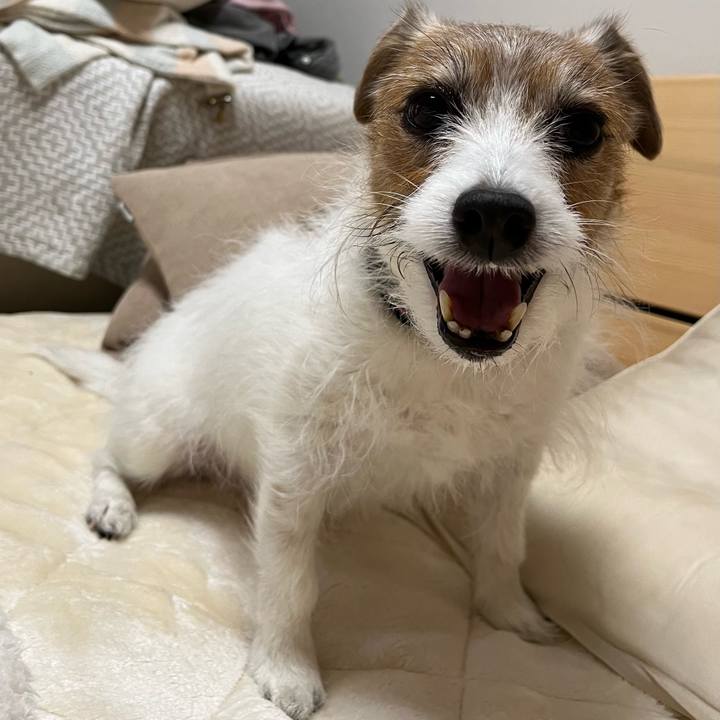 Fd291f78 4c8f 4b54 ada9 8b8c46d6490b 1712925656275