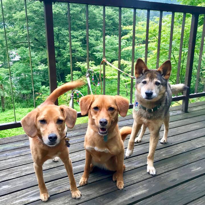 Fd29406d 48de 4534 8c15 263d6b4c6053 1529241104635