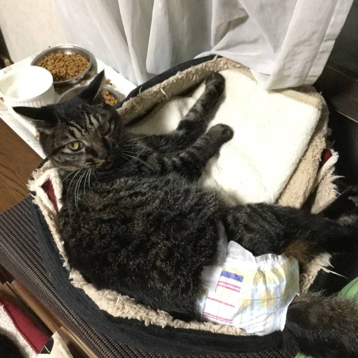 Fd298d75 0d22 4b6f bda4 76f1d036992c 1583672526485