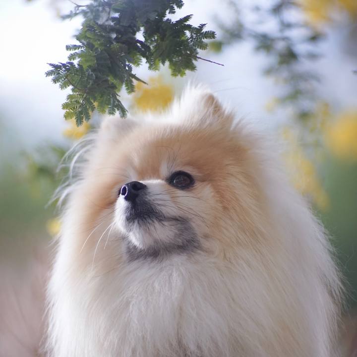 Fd298f99 61c6 453a 8dec 56b05e43ce4e 1521043677014