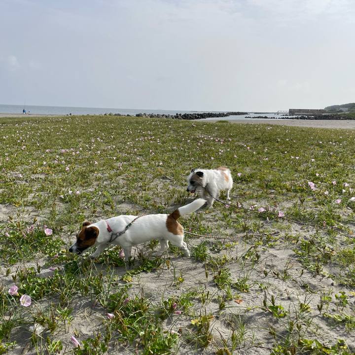 Fd2992a3 0dab 44d6 a65f fbcd050831ae 1684718634899