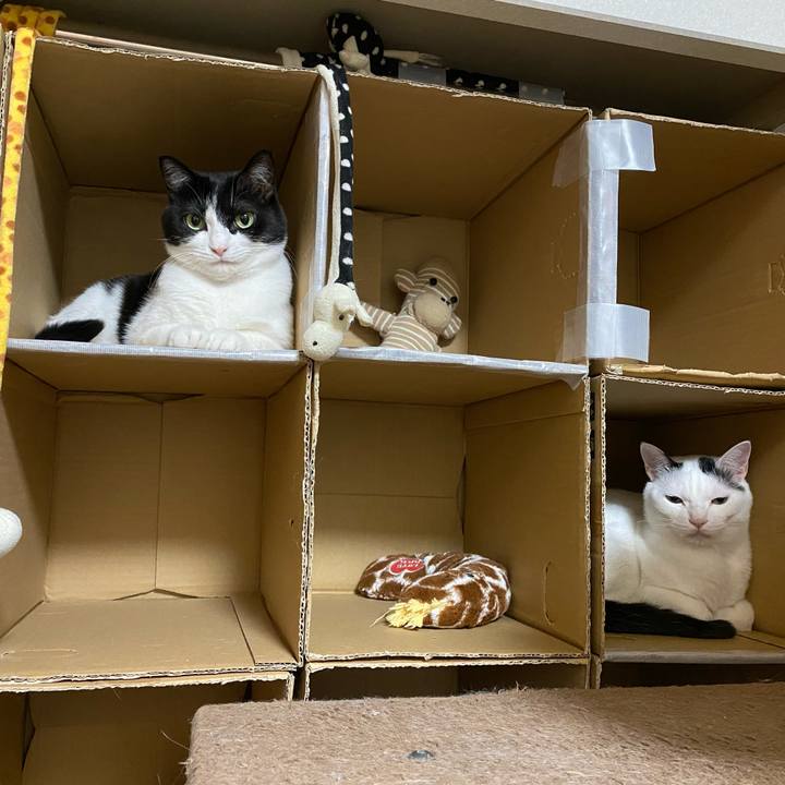 Fd299727 0580 4deb 808e f0227d043c41 1610930233281