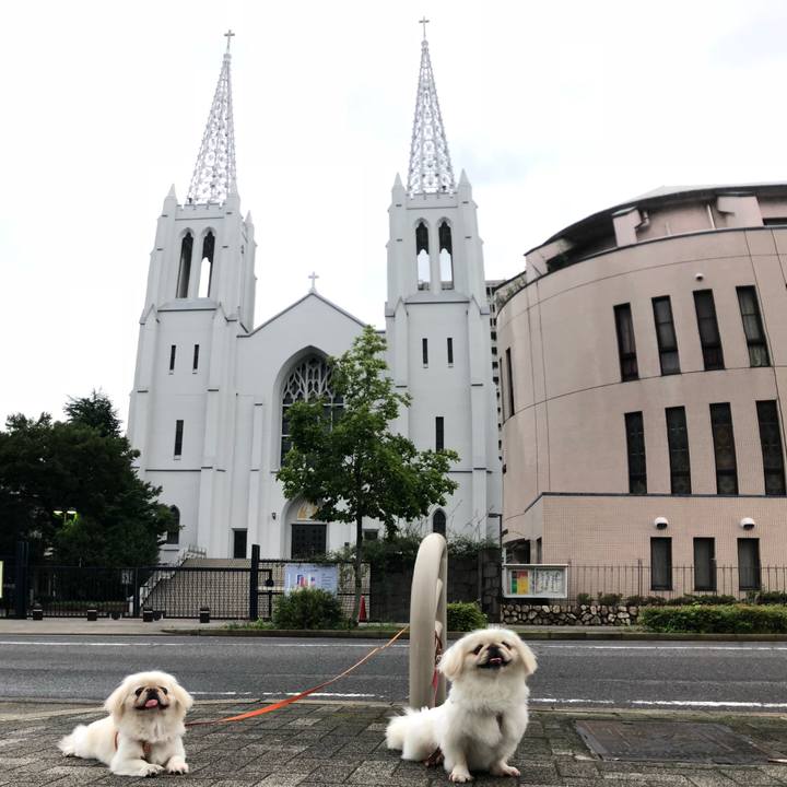 Fd29e2bc 579a 4b43 9f11 0d2f7cd23b8c 1531007204251