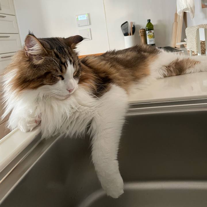 Fd29e5e6 a49a 4883 81d6 ab92998c4808 1667513262846