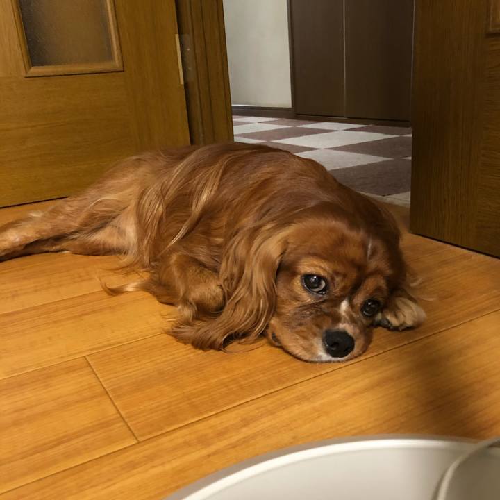 Fd2a0976 b960 4b05 9620 b46456d9cc65 1599775461962