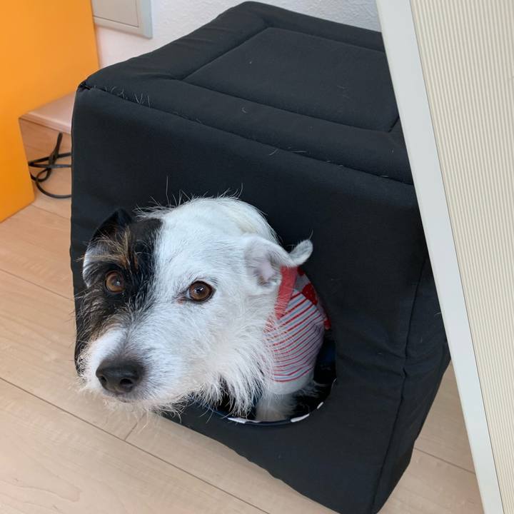 Fd2a4613 0cfb 4b0c af02 02ee3cf4720d 1579149502215