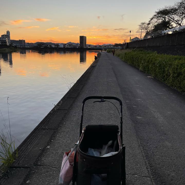 Fd2a5e3e d750 47ed 9060 c8130650d0e2 1666777544957