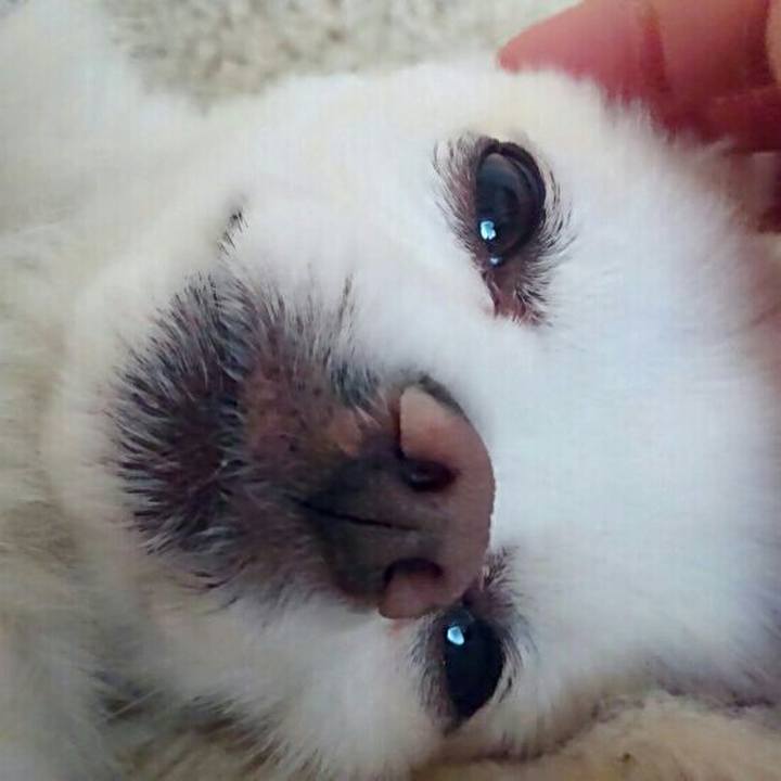 Fd2a5e71 4eb9 4eb2 9658 643ec5dd23c9 1555134900480