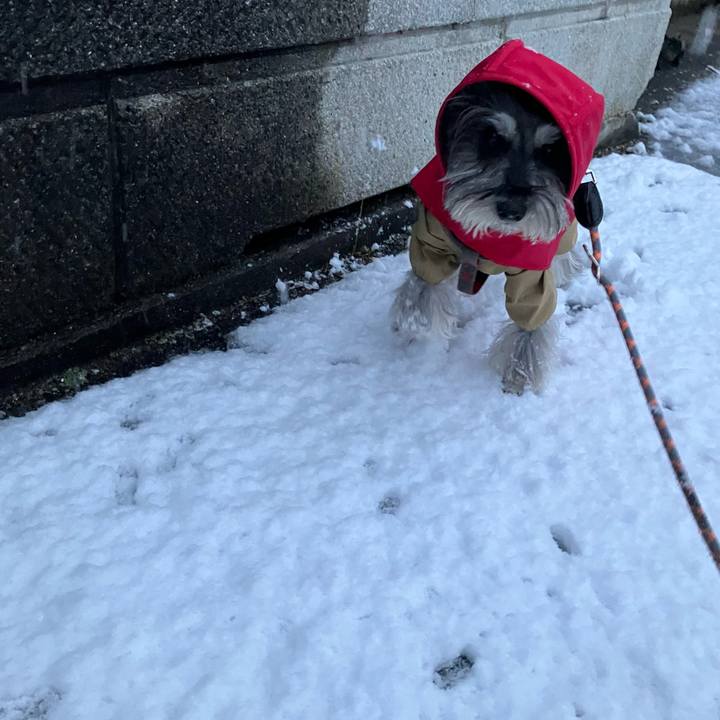 Fd2a71ac d8fb 4172 a997 37c1d3a88fbd 1767319245663