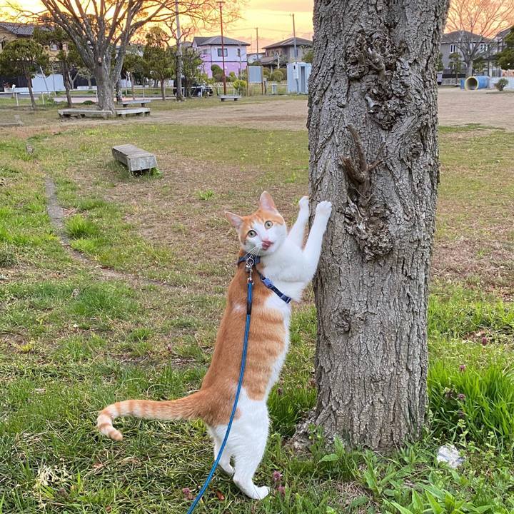 Fd2a8647 a63b 49bc 9642 481ec4174d7a 1587897249678