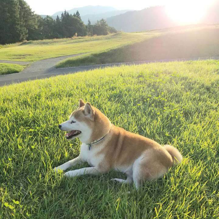 Fd2ad28f 7db9 4995 abff 052ceb47e0c2 1632728638356