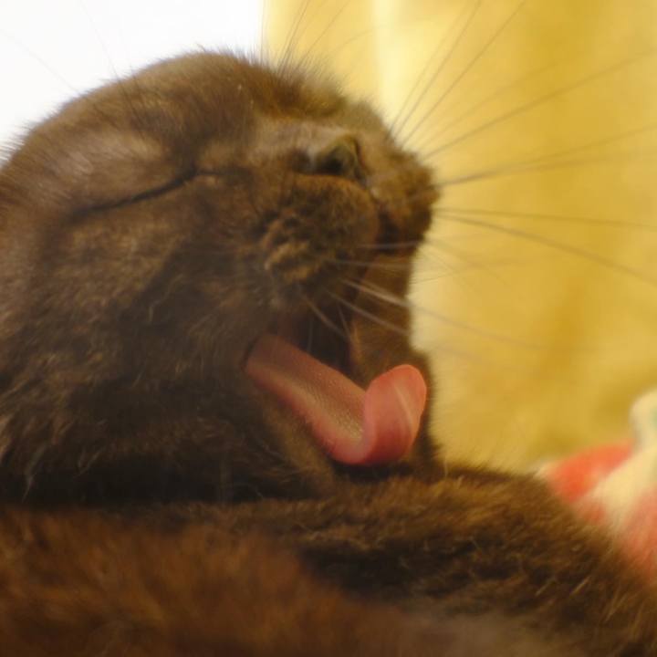 Fd2af580 c1dc 4411 a9ba 58f9b3c9e0e8 1634200687951