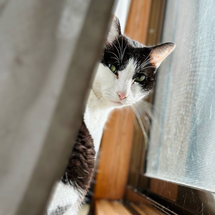 Fd2b16d3 292e 4c0c 8348 f2fe901c7693 1706749814323