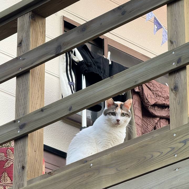 Fd2b25c2 4354 4c31 9977 d40184848248 1758853764361