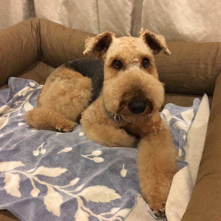 Fd2b38c0 bdd3 4b02 b0df 9dfad1ed20a2 1536491957980