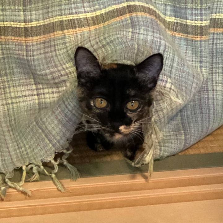 Fd2b431f 74b6 49bc 8843 44926ed71452 1605316253223