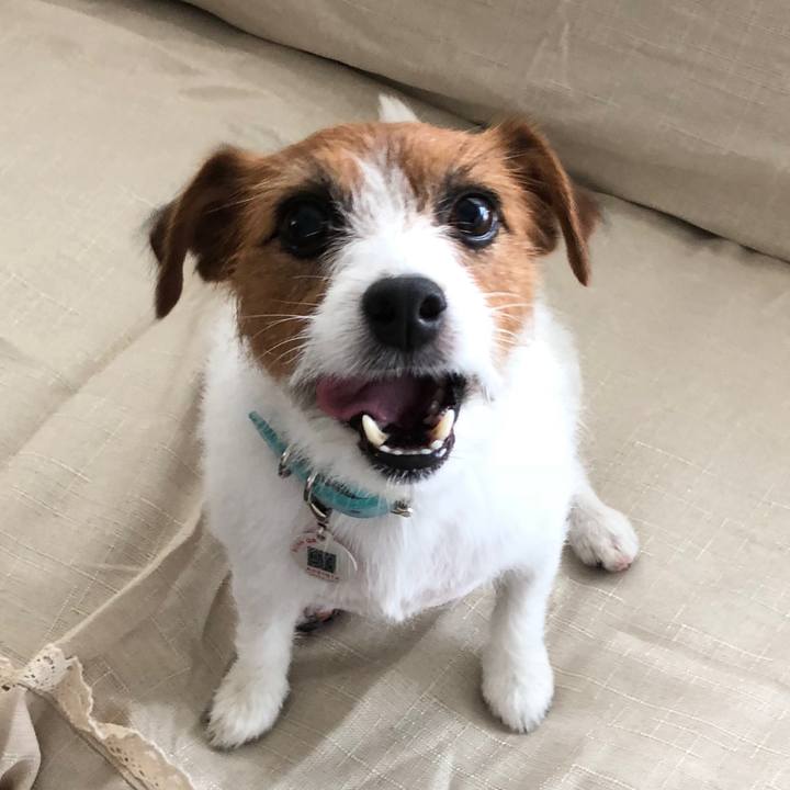 Fd2b6569 1ff0 4dd3 8094 30a631fabab1 1543532718152