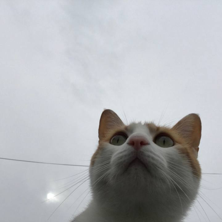 Fd2bb6d6 ef58 422c b96f 6196e0167a26 1508892558686