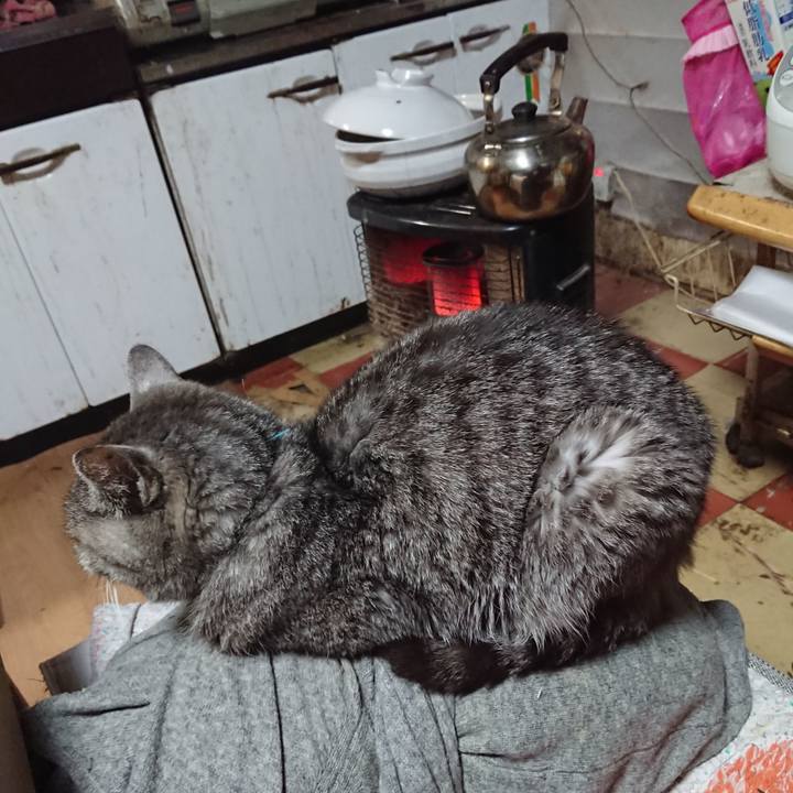 Fd2bc830 5135 4b36 84b9 7b6cf5fbbfa4 1575022686406