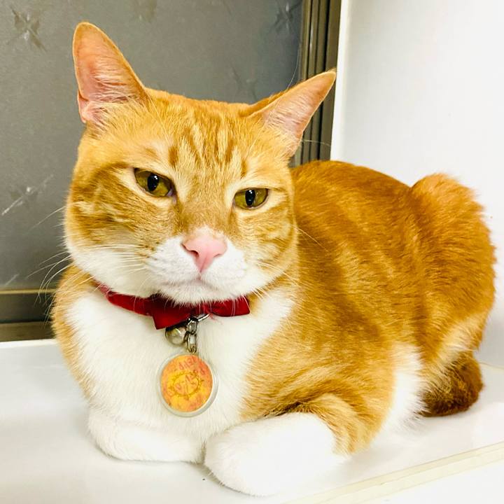 Fd2bf9e5 0540 4f23 a886 f0a1753d37d1 1680097801881