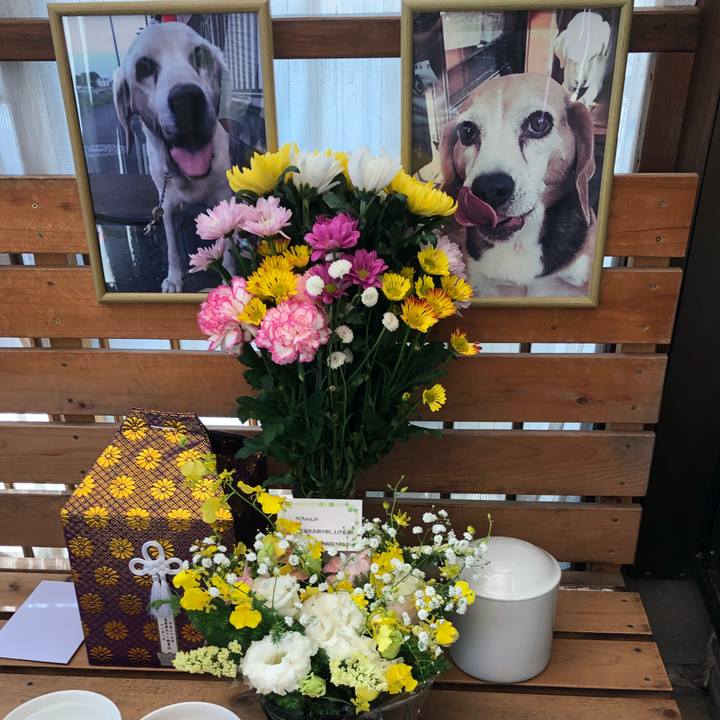 Fd2c27ca db39 48b5 b1a6 d6beef437051 1509853217136