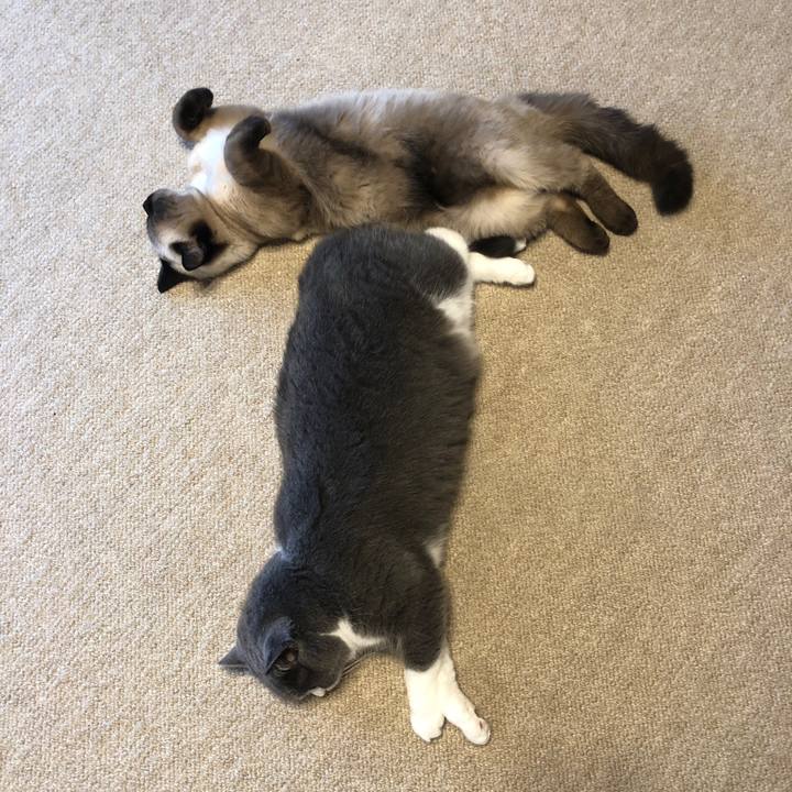 Fd2c536a f411 4ca5 a33f 0636db82966d 1597991474321