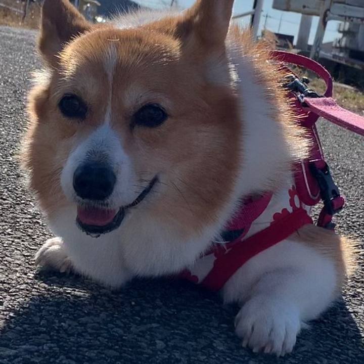 Fd2c8a8e f26a 4706 a311 33454a867a42 1672285299872