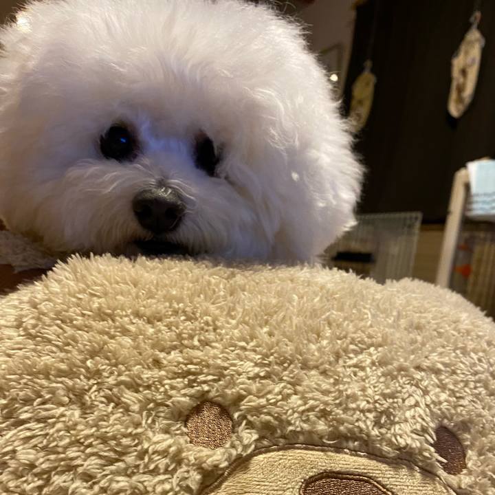 Fd2c8ba3 3bcc 41b8 b813 a6275671a9b9 1636803362256