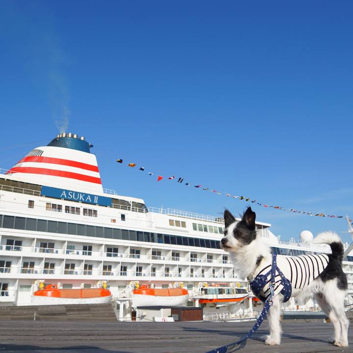 Fd2c8ecc 8944 4bae 908e ff726ef974a9 1605520110252