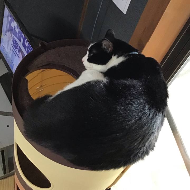 Fd2ca190 d244 44db 8e3d 0faa1d6f00cb 1758436870430