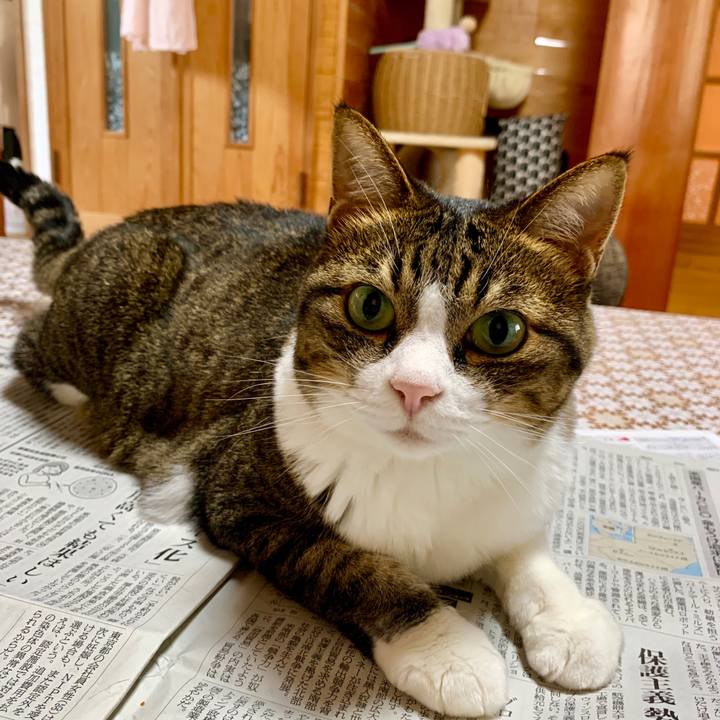 Fd2cdc9e 9fd9 4c30 85cc ce5f14a75ffb 1595897039068