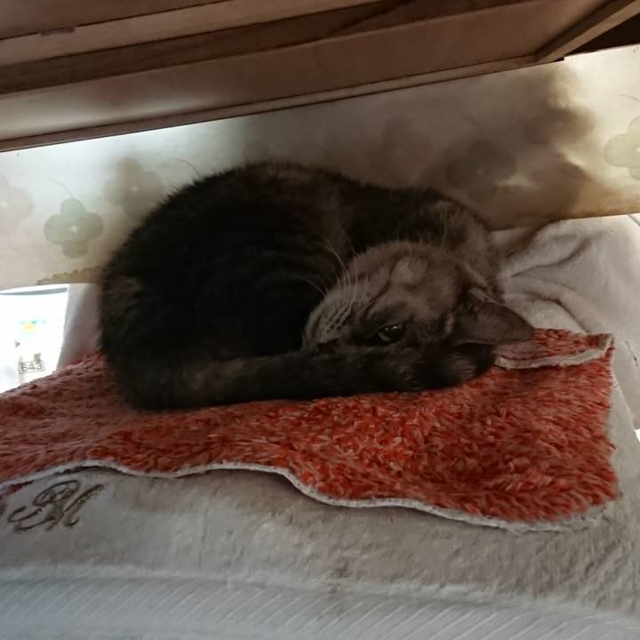 Fd2cfa86 b05b 4512 9e73 3a53f0cccfcc 1571223074236