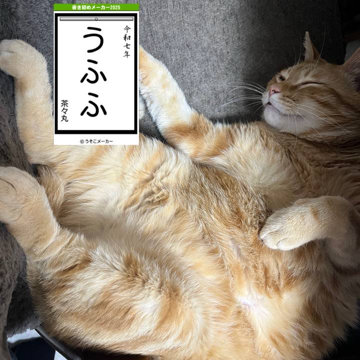 Fd2cff9d 3e72 40e7 96c8 9bafbb29b50a 1735893417516