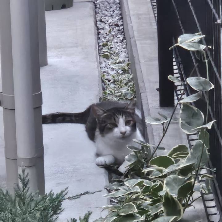 Fd2d2f8b 0211 4f12 9ddb baa3186f4d12 1722567172226