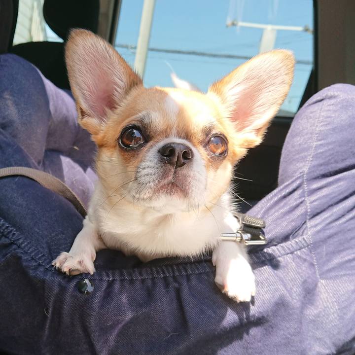 Fd2d39a7 6210 4732 9171 6ec477c7f60b 1589693783625