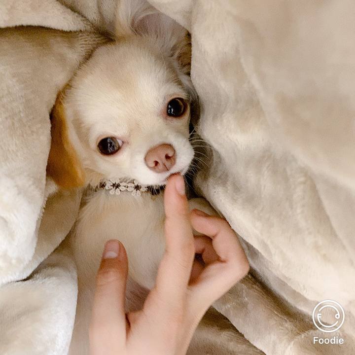 Fd2d895a d64f 4034 988a 3dcceeffed9a 1604566506768