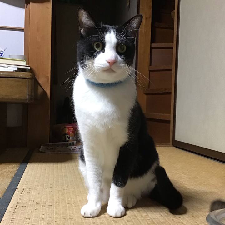 Fd2d9852 dad4 49bb 8900 265e174f4901 1762417291744