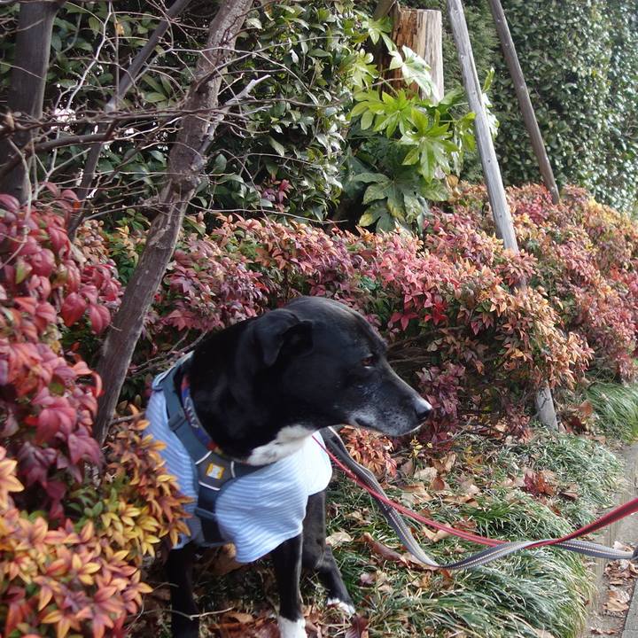 Fd2d9970 296e 400f aafd 8a617bc5b473 1707355295586